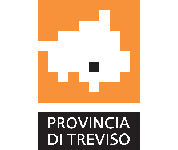 Immagine per Presidente e Consiglieri eletti  della Provincia di Treviso 